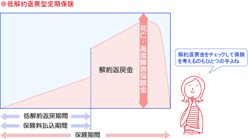 低解約返戻型定期保険