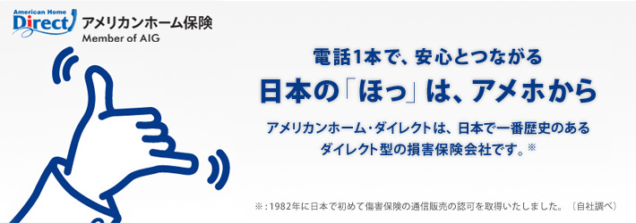 アメリカンホーム保険会社の紹介