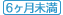 保険期間　6ヶ月未満