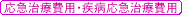 応急治療費用・疾病応急治療費用