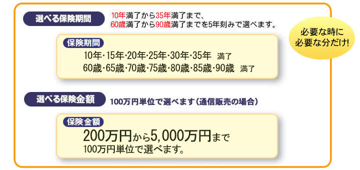 10年満了から30年満了まで、60歳満了から80歳満了までを5年刻みで選べます。