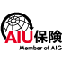 ＡＩＵ保険会社