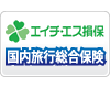 エイチ・エス損保の国内旅行総合保険