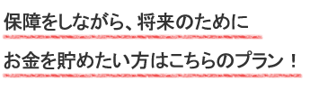 保障をしながら、将来のためにお金を貯めたい方はこちらのプラン！