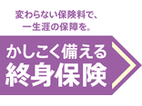 変わらない保険料で、一生涯の保障を。かしこく備える終身保険