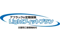 Lightフィットプラン