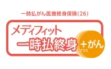 メディフィット一時払終身＋がん