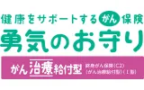 健康をサポートするがん保険 勇気のお守り（がん治療給付型）