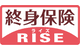 終身保険RISE(ライズ)