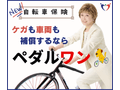 ペダルワン