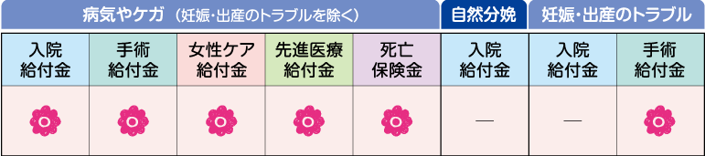 保障が開始する日に妊娠していた場合