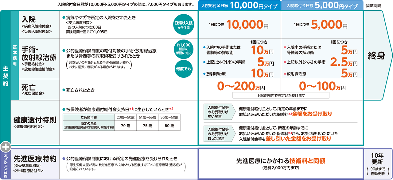 保障内容例のイメージ