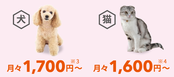 犬 月々1,700円※3～ 猫 月々1,600円※4～