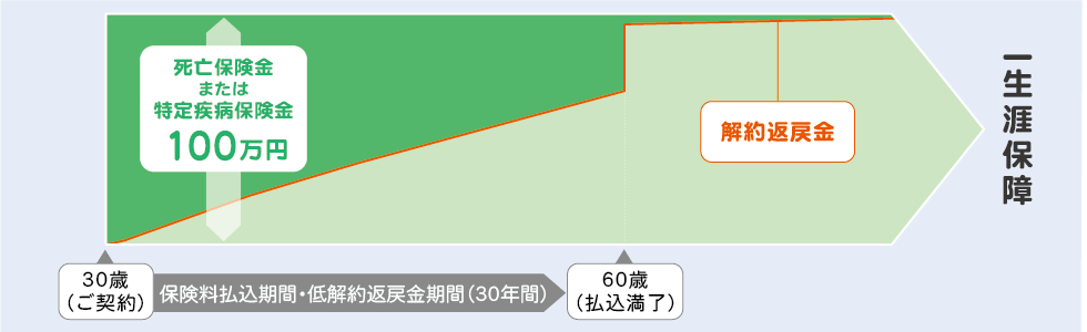 払込保険料累計額・解約返戻金・返戻率の推移のイメージ図