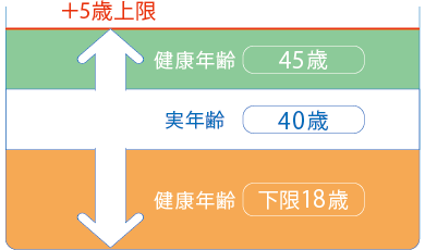健康年齢の上限・下限イメージ図