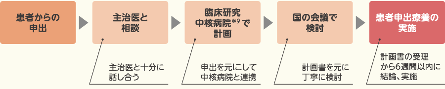 患者申出療養実施までの主な流れの図