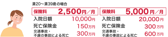 満20～満39歳の場合の保険料の図