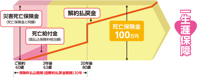 保険料払込期間20年の例で見る商品の仕組み図