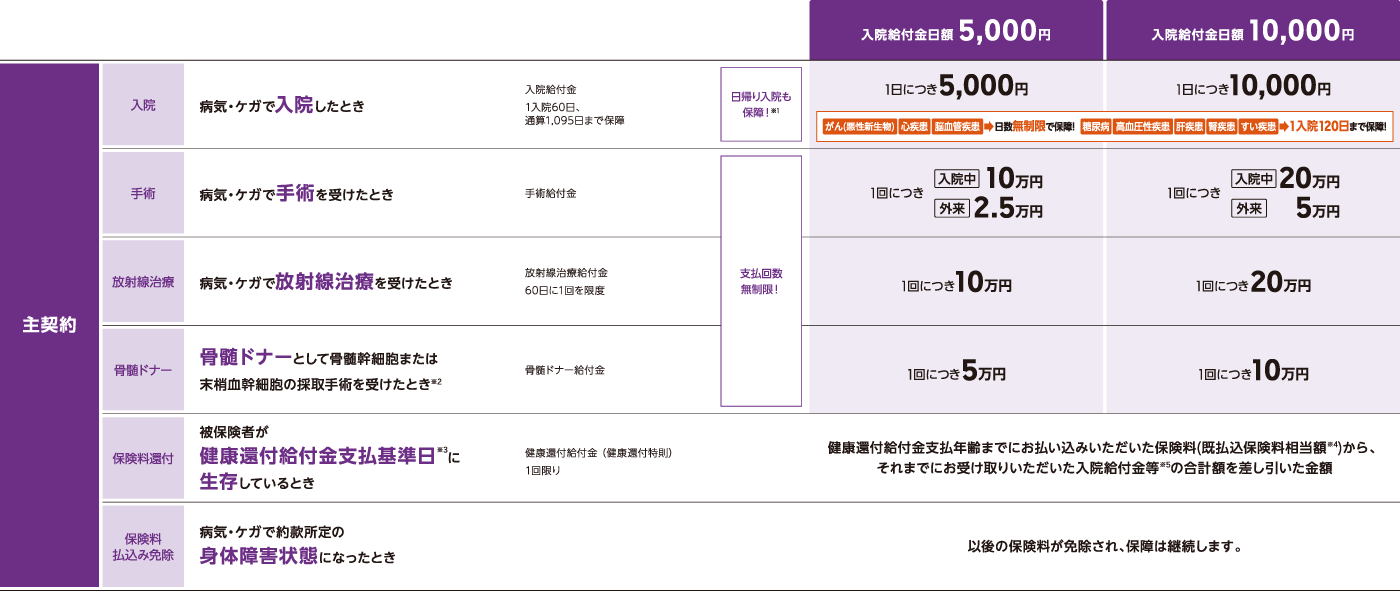 保障内容(主契約)のイメージ図