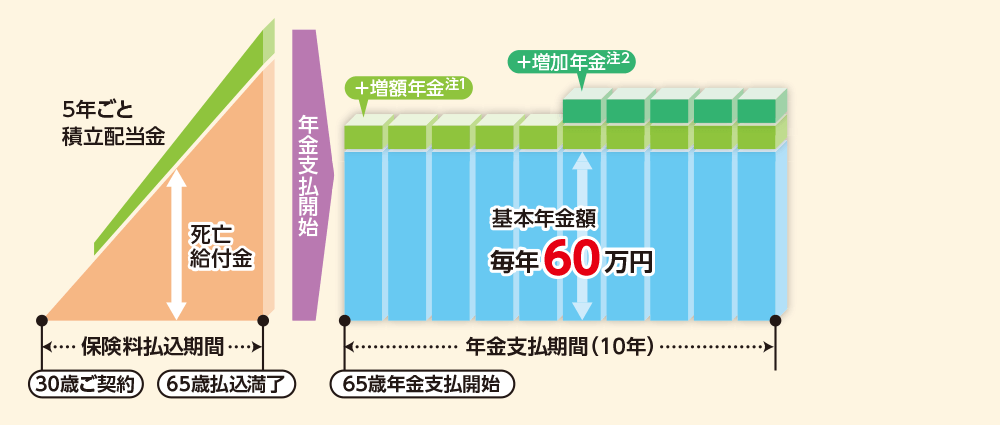 10年確定年金のグラフ