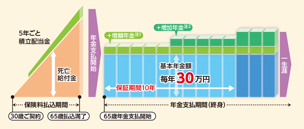 10年保証期間付終身年金のグラフ