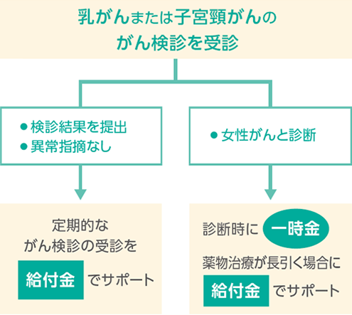 がん検診支援給付金女性がん保障特約（2023）のサポート内容のイメージ