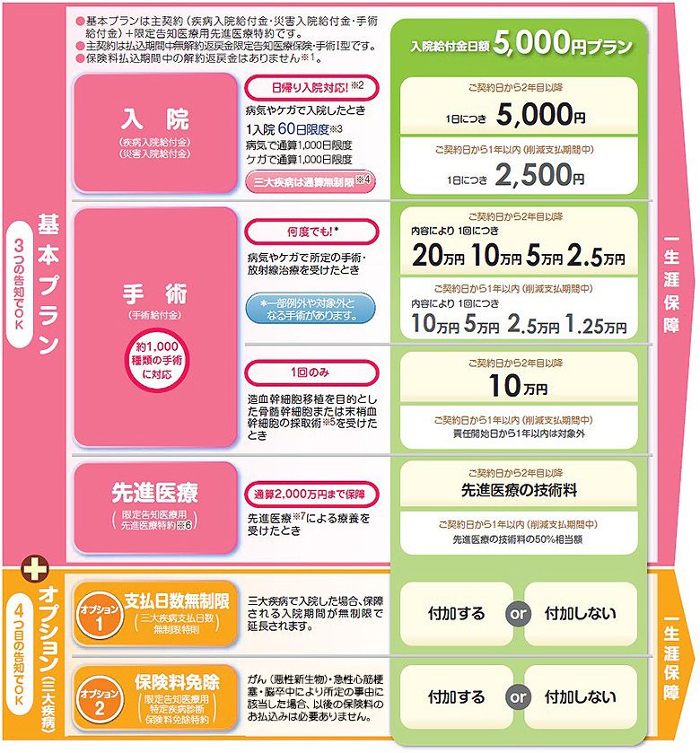 限定告知医療保険／新・健康のお守り ハートの保障内容