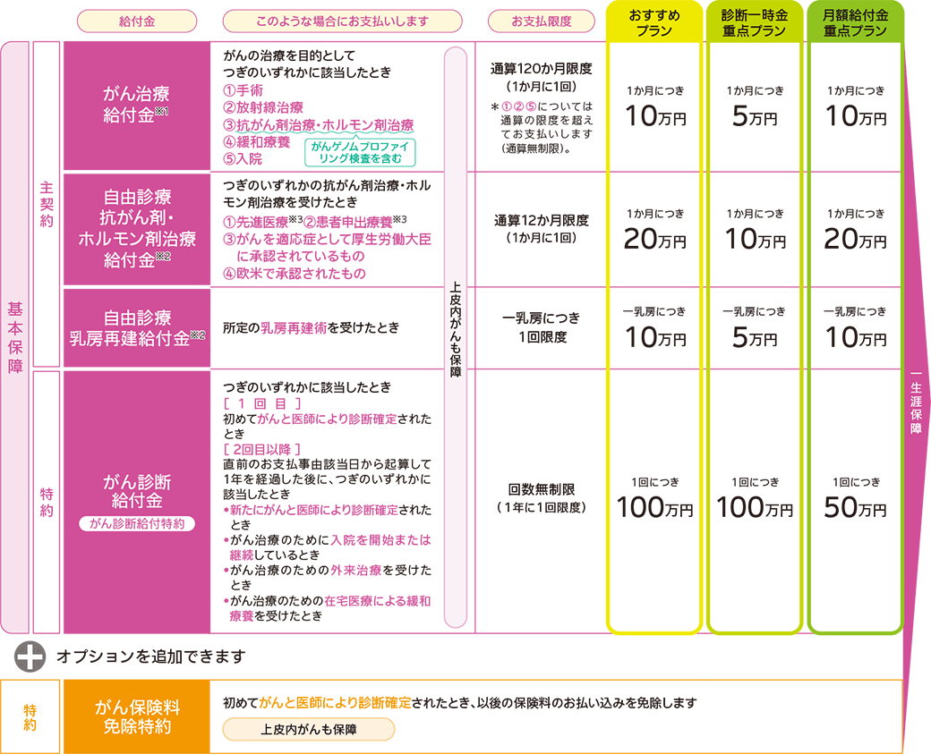 保障内容の表