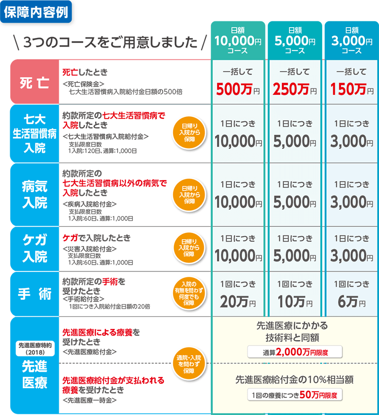 3つのコースをご用意しました