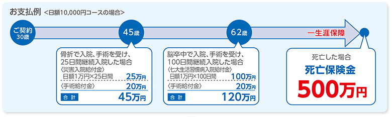 お支払例