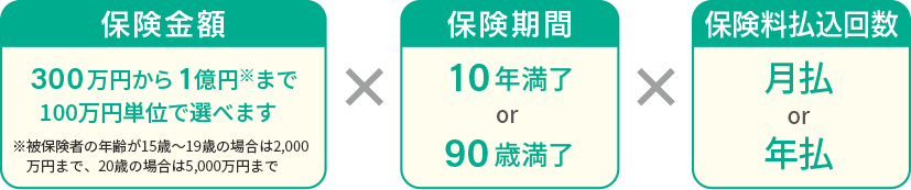 保険金額×保険期間×保険料払込回数