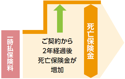 ご契約から2年経過後死亡保険金が増加のイメージ