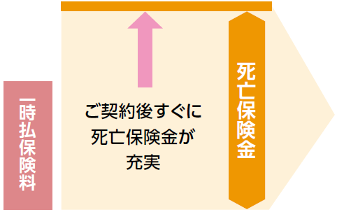 ご契約後すぐに死亡保険金が充実のイメージ