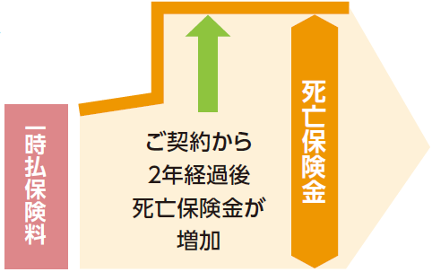 ご契約から2年経過後死亡保険金が増加のイメージ