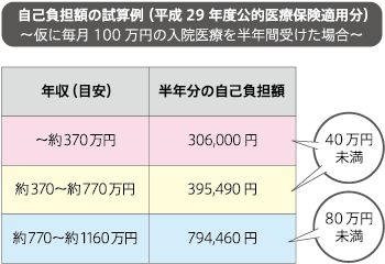 自己負担額の試算例(平成29年度公的医療保険適用分