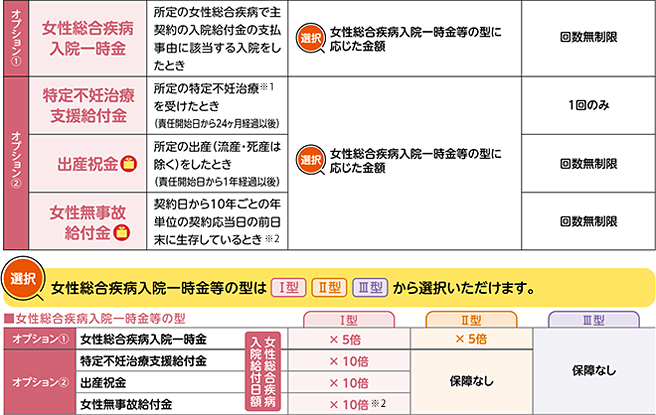 オプションイメージ