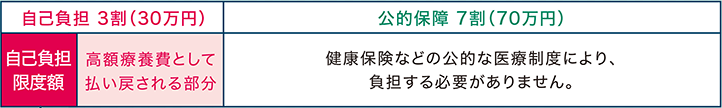 1ヶ月の医療費100万円とすると…の例