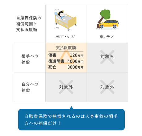 自賠責保険（強制保険）とは