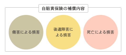 自賠責保険の補償内容の図