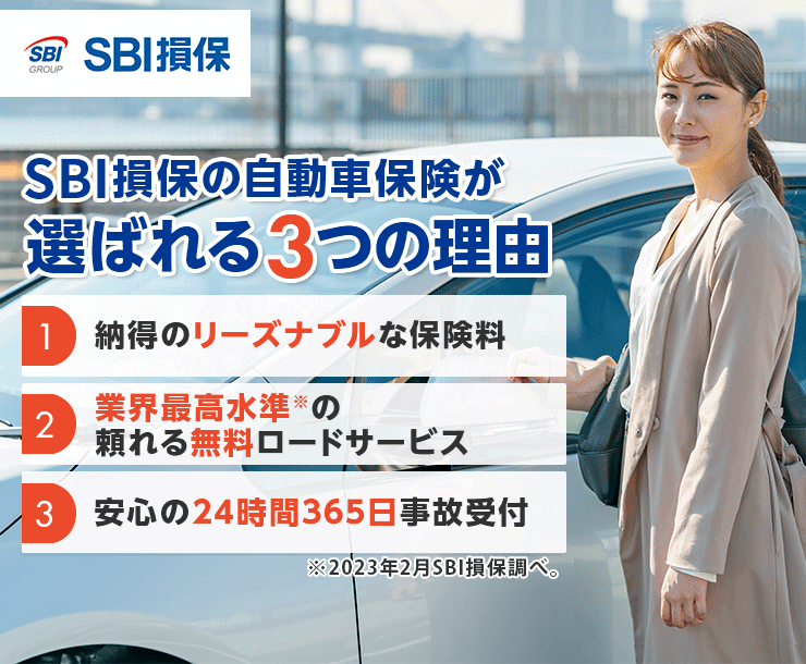 SBI損保のSBI損保の自動車保険（総合自動車保険）