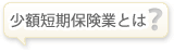 少額短期保険業とは?