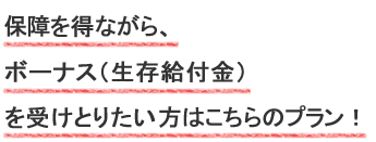 保障をしながら、将来のためにお金を貯めたい方はこちらのプラン！