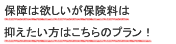 保障は欲しいが保険料は抑えたい方はこちらのプラン！