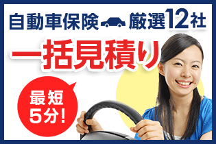 自動車保険厳選12社 最短5分! 一括見積り