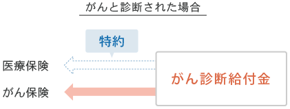 がんと診断された場合