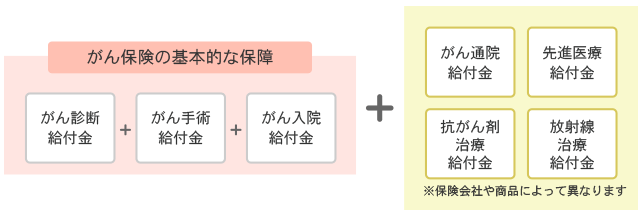 基本的な保障