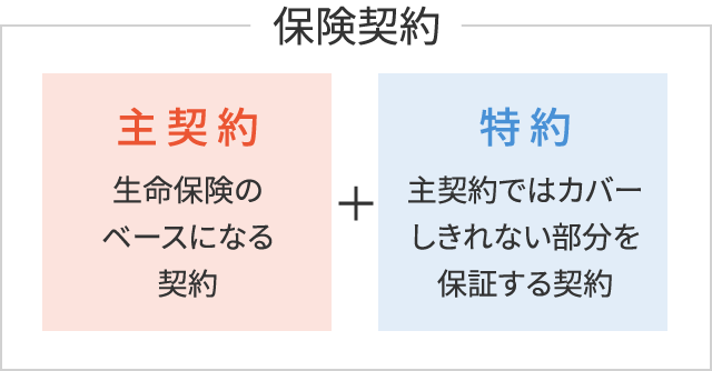 主契約＋特約の図