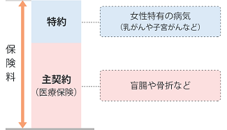 女性保険の図