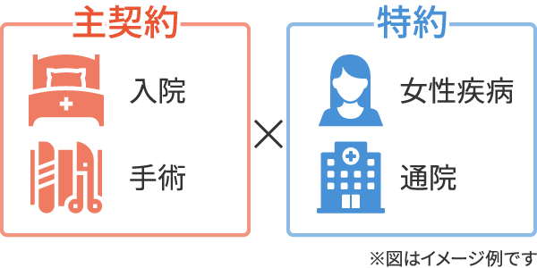主契約 入院・手術×特約　女性疾病・通院