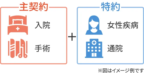 主契約 入院・手術+特約 女性疾病・通院のイメージ